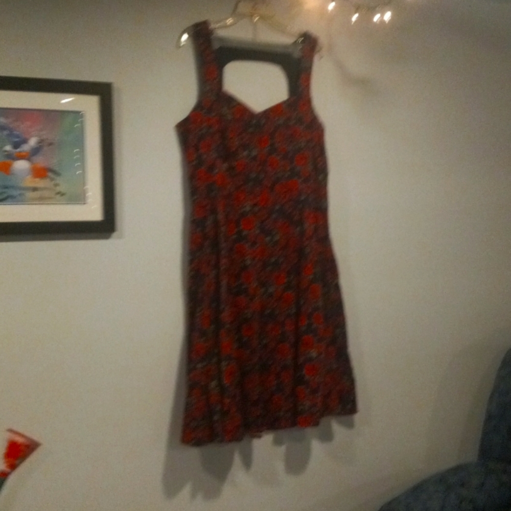 Torrid size 18 skater style rose print dress